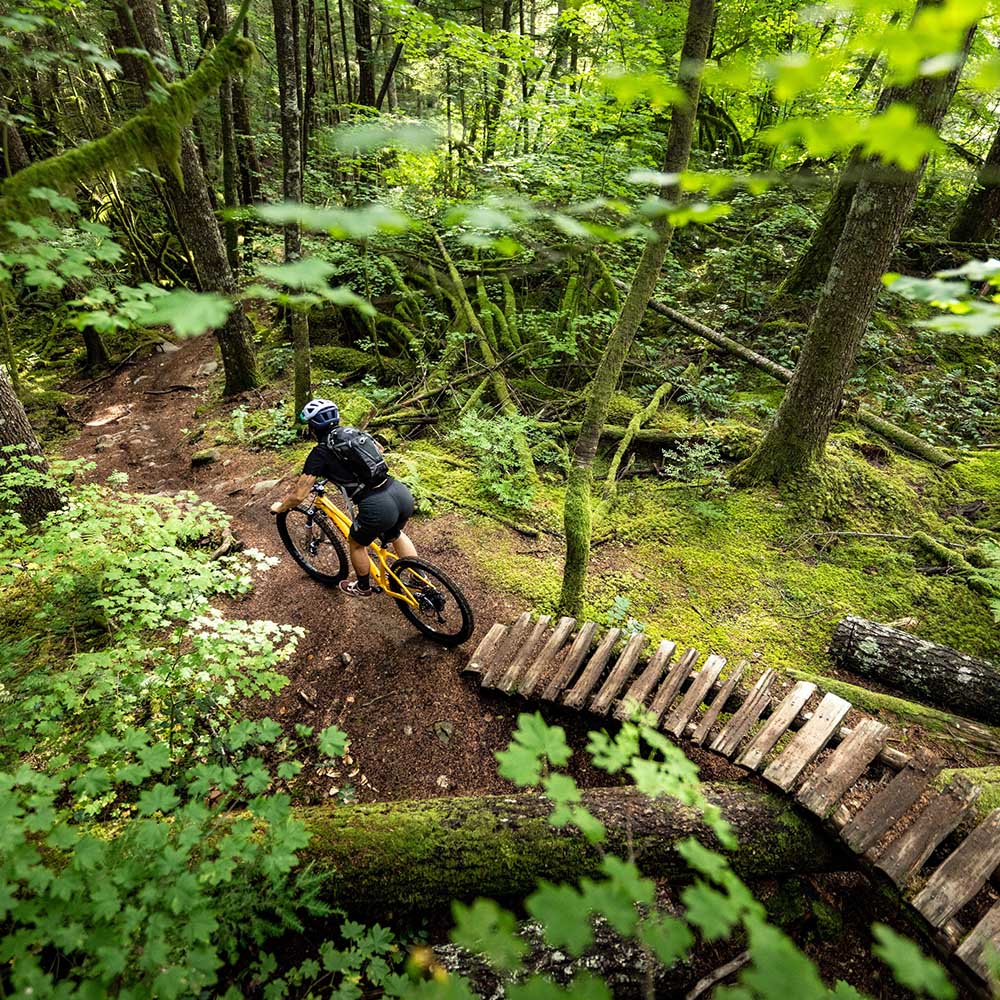 Santa cruz mountain 2025 bikes near me